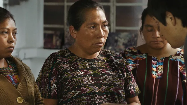 Politics: Human Rights